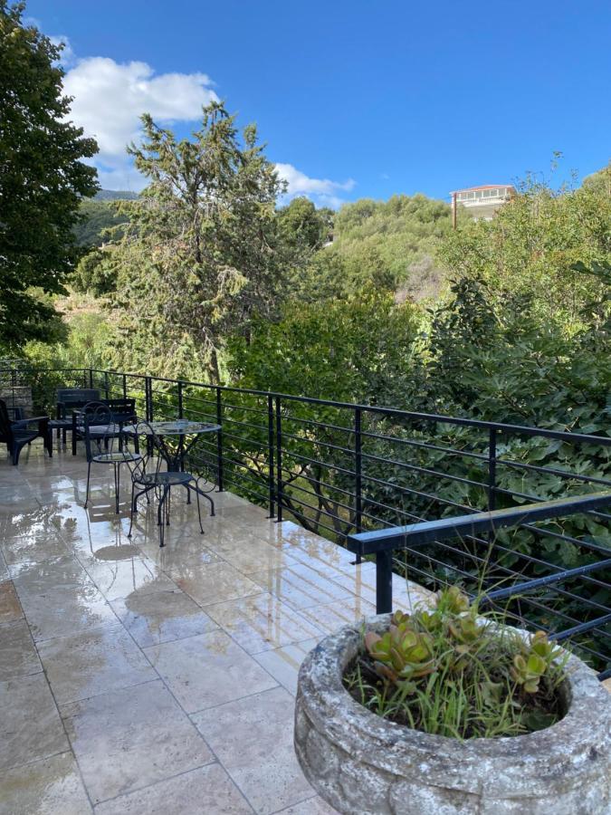 Home Sweet Home 2 Pieces 42 M2 Chambre, Salon, Cuisine, Grande Terrasse, Parking Proche Centre Ville Et Mer Bastia  Buitenkant foto