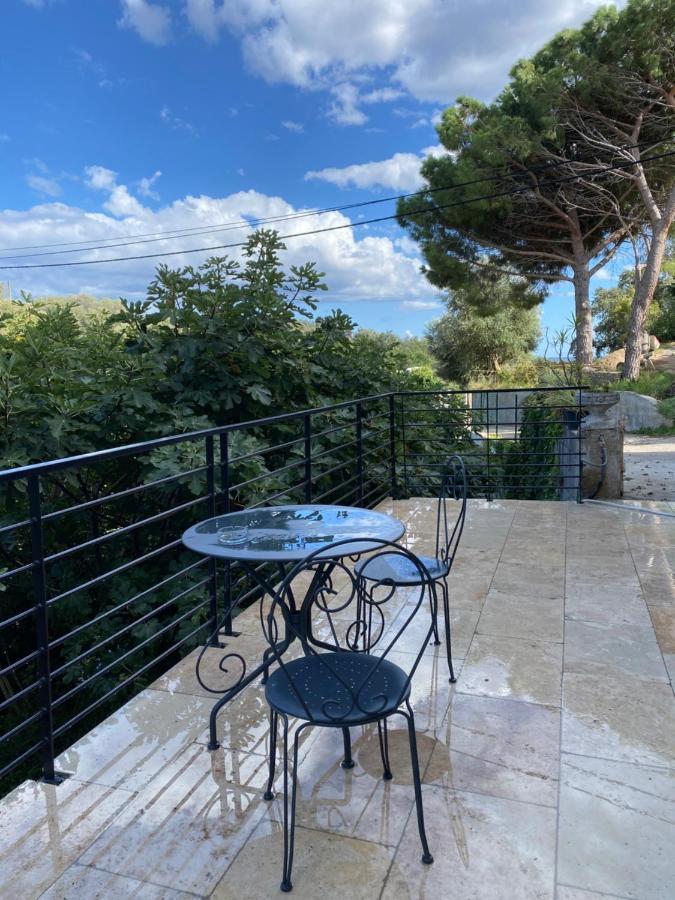Home Sweet Home 2 Pieces 42 M2 Chambre, Salon, Cuisine, Grande Terrasse, Parking Proche Centre Ville Et Mer Bastia  Buitenkant foto